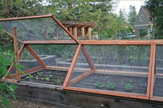 raised gardening-beds with screen frames above image